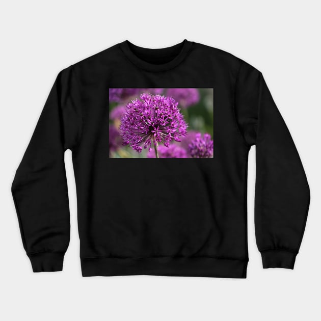 Powerflower Crewneck Sweatshirt by OVP Art&Design